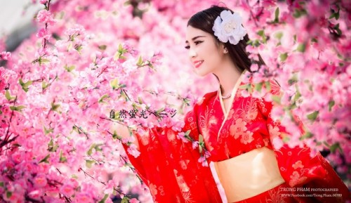 Lễ hội ngắm hoa anh đào của Nhật Bản - Hanami